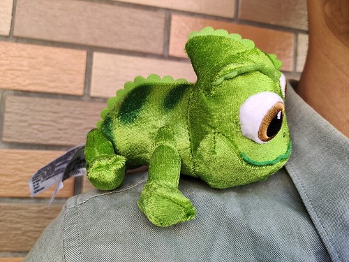 Disney parks pascal spalla - disney,